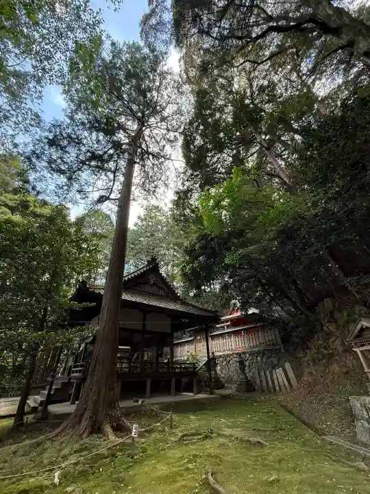葛木御歳神社の{uncategorized: "未分類", other: "その他", undefined: "問題あり", building: "その他建物", grave: "お墓", sacred_gate: "鳥居", guardian: "狛犬", statue: "像", buddha: "仏像", history: "歴史", nature: "自然", garden: "庭園", animal: "動物", pagoda: "塔", temizu: "手水舎", mountain_gate: "山門・神門", sanctuary: "本殿・本堂", subordinate: "末社・摂社", art: "芸術", scenery: "景色", jizo: "地蔵", ema: "絵馬", goshuin: "御朱印", omikuji: "おみくじ", items: "授与品その他", amulet: "お守り", goshuincho: "御朱印帳", eats: "食事", festival: "お祭り", votive_dance: "神楽", shichigosan: "七五三参", wedding: "結婚式", experience: "体験その他", initially: "初詣", around: "周辺", anti_infection: "感染症対策"}