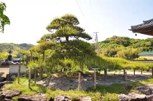 種間寺(高知県)