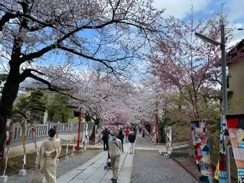 法華経寺の景色