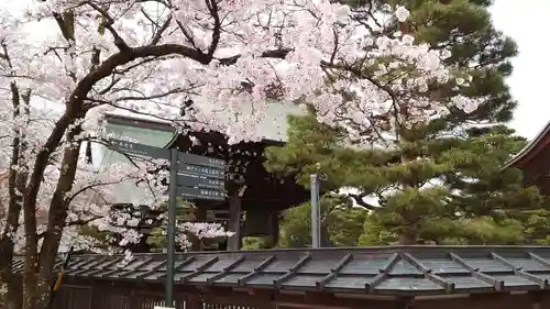 真宗寺の景色