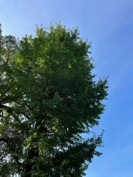 伊勢の国 四天王寺の自然