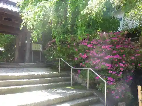 安國論寺（安国論寺）の山門