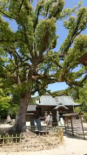 與止日女神社の自然