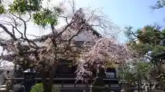 本覚寺の本殿