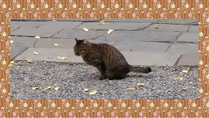 小野照崎神社(東京都)