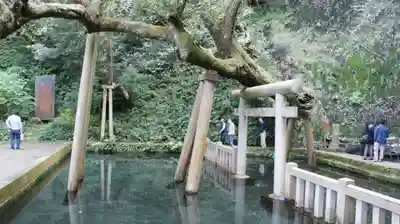 鹿島神宮(茨城県)