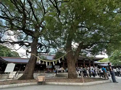 明治神宮(東京都)