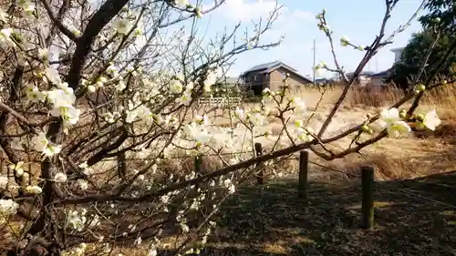 尾張大國霊神社（国府宮）の自然