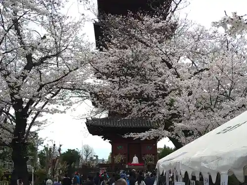 池上本門寺(東京都)