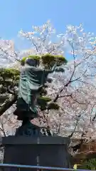 墨染寺（桜寺）(京都府)