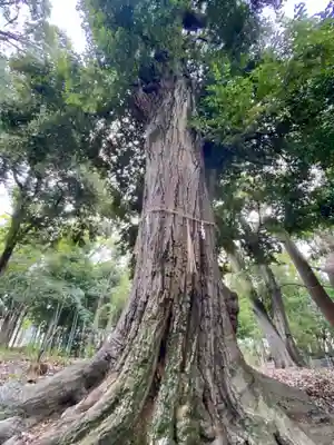 神明神社(神明皇大神宮)(京都府)