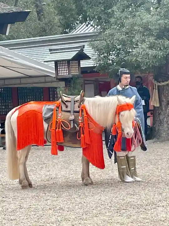 住吉大社(大阪府)
