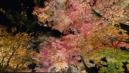 宝厳院(京都府)