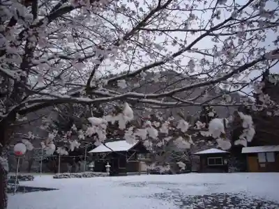 示現神社の景色
