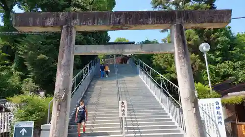 針綱神社の鳥居