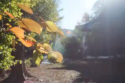 氣比神宮(福井県)