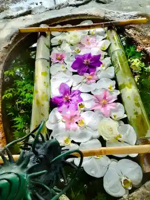 立志神社の手水舎