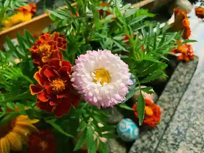 滑川神社 - 仕事と子どもの守り神の手水舎