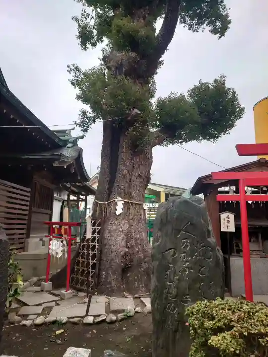 五方山熊野神社の{uncategorized: "未分類", other: "その他", undefined: "問題あり", building: "その他建物", grave: "お墓", sacred_gate: "鳥居", guardian: "狛犬", statue: "像", buddha: "仏像", history: "歴史", nature: "自然", garden: "庭園", animal: "動物", pagoda: "塔", temizu: "手水舎", mountain_gate: "山門・神門", sanctuary: "本殿・本堂", subordinate: "末社・摂社", art: "芸術", scenery: "景色", jizo: "地蔵", ema: "絵馬", goshuin: "御朱印", omikuji: "おみくじ", items: "授与品その他", amulet: "お守り", goshuincho: "御朱印帳", eats: "食事", festival: "お祭り", votive_dance: "神楽", shichigosan: "七五三参", wedding: "結婚式", experience: "体験その他", initially: "初詣", around: "周辺", anti_infection: "感染症対策"}