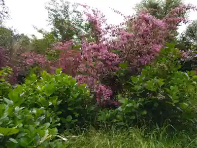 国宝 長寿寺(滋賀県)