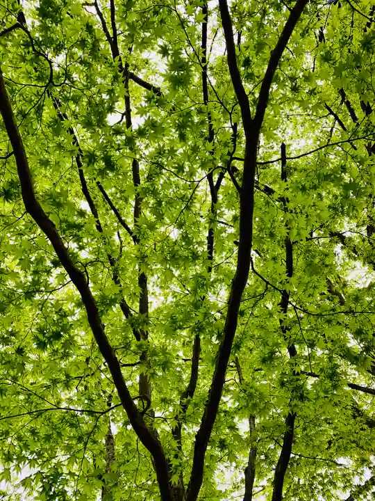 土津神社|こどもと出世の神さまの自然