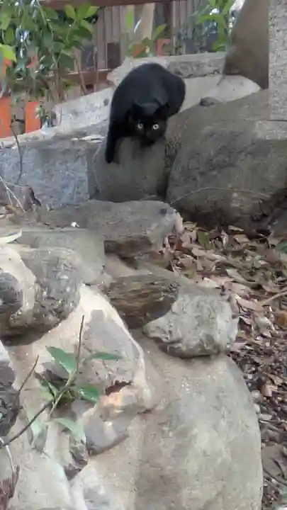 花山稲荷神社(京都府)
