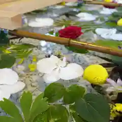 帯廣神社の手水