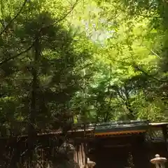 篠ｹ谷神社(岐阜県)