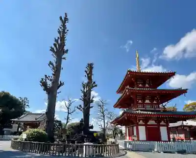 宝仙寺の{uncategorized: "未分類", other: "その他", undefined: "問題あり", building: "その他建物", grave: "お墓", sacred_gate: "鳥居", guardian: "狛犬", statue: "像", buddha: "仏像", history: "歴史", nature: "自然", garden: "庭園", animal: "動物", pagoda: "塔", temizu: "手水舎", mountain_gate: "山門・神門", sanctuary: "本殿・本堂", subordinate: "末社・摂社", art: "芸術", scenery: "景色", jizo: "地蔵", ema: "絵馬", goshuin: "御朱印", omikuji: "おみくじ", items: "授与品その他", amulet: "お守り", goshuincho: "御朱印帳", eats: "食事", festival: "お祭り", votive_dance: "神楽", shichigosan: "七五三参", wedding: "結婚式", experience: "体験その他", initially: "初詣", around: "周辺", anti_infection: "感染症対策"}
