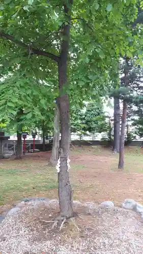 富良野神社の庭園