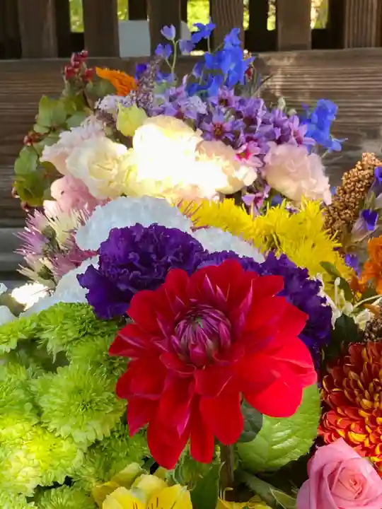 勝林寺(京都府)