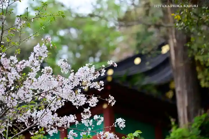 静岡浅間神社の自然