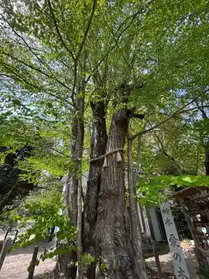 梨木神社(京都府)