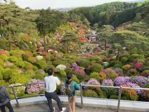 塩船観音寺の景色