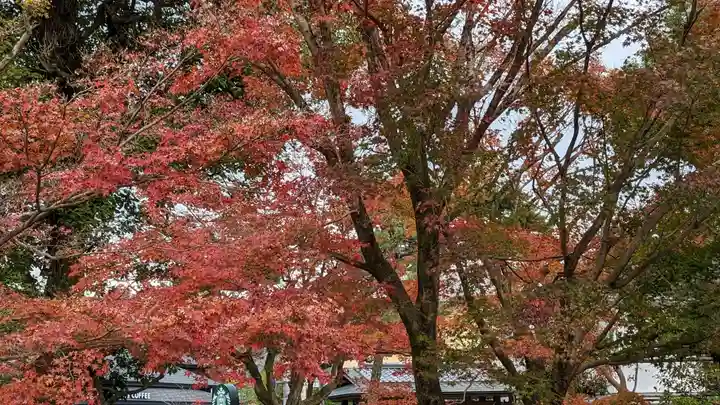 平等院(京都府)