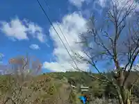 如意輪寺(奈良県)