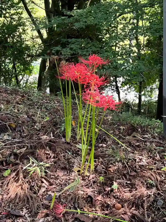 大宮温泉神社(栃木県)