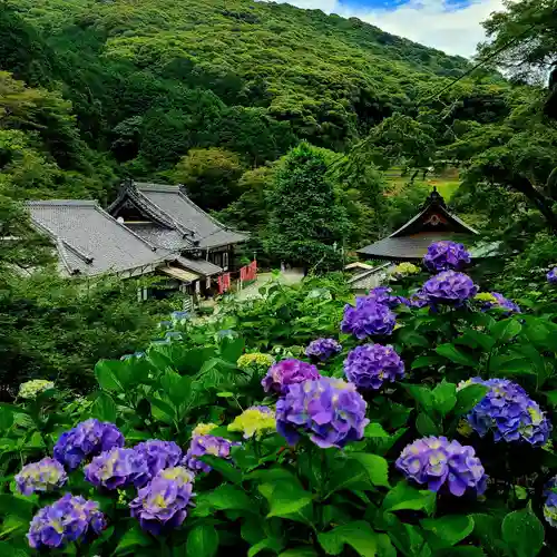 普門寺(切り絵御朱印発祥の寺)(愛知県)