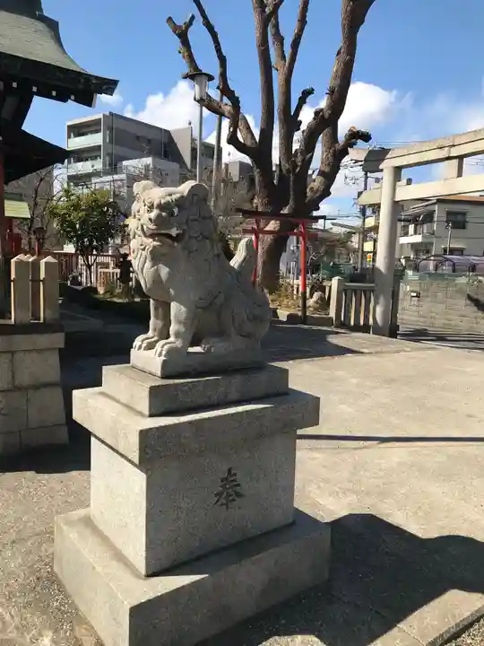 八坂神社(上のやさかさん)の狛犬