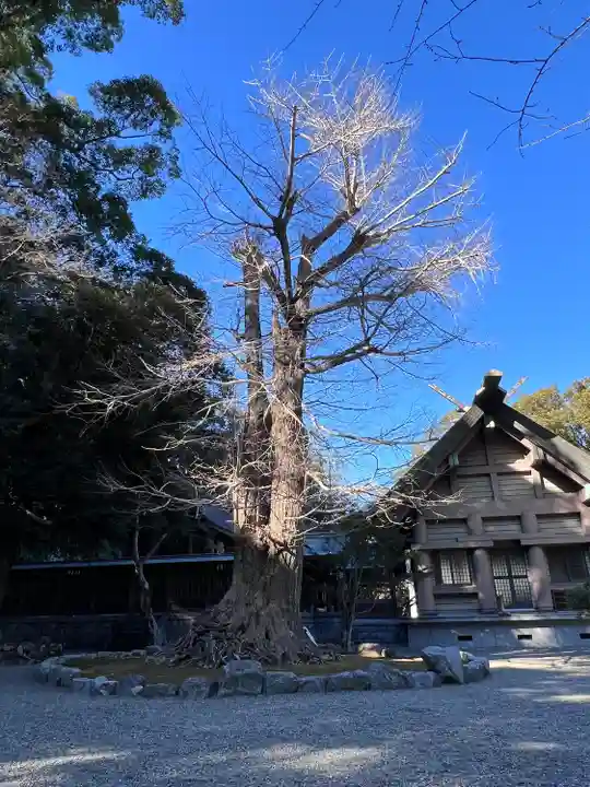 安房神社(千葉県)