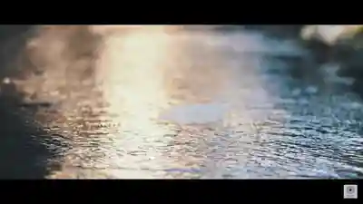 田無神社(東京都)