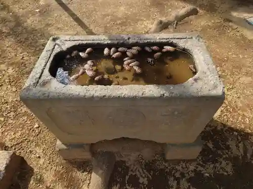 稲荷神社の手水舎