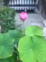 木舟山 順教寺の庭園