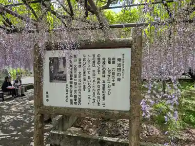 長泉寺(埼玉県)
