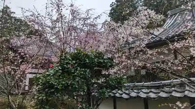 十輪寺(京都府)