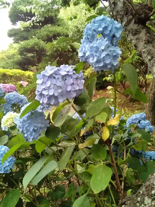 二十三夜尊 桂岸寺(茨城県)