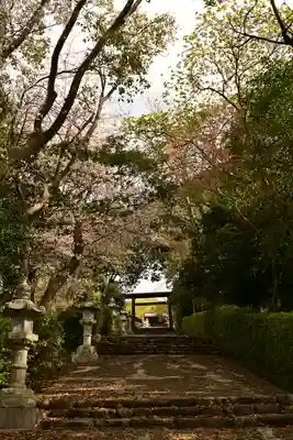 松山東照宮(愛媛県)