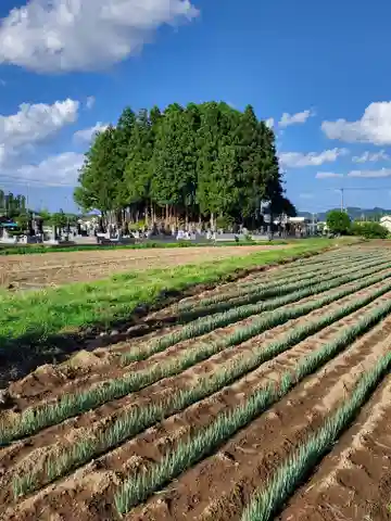 蓮沼神社(栃木県)
