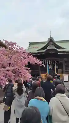 桜神宮(東京都)