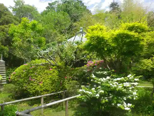 浄光明寺の庭園